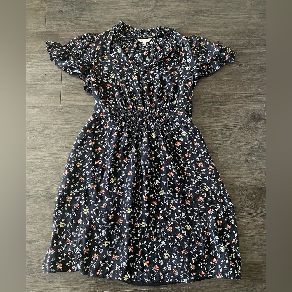 Rebecca Taylor Silk Vine Dress Size 8 Cinched Dainty Floral Spring Faire